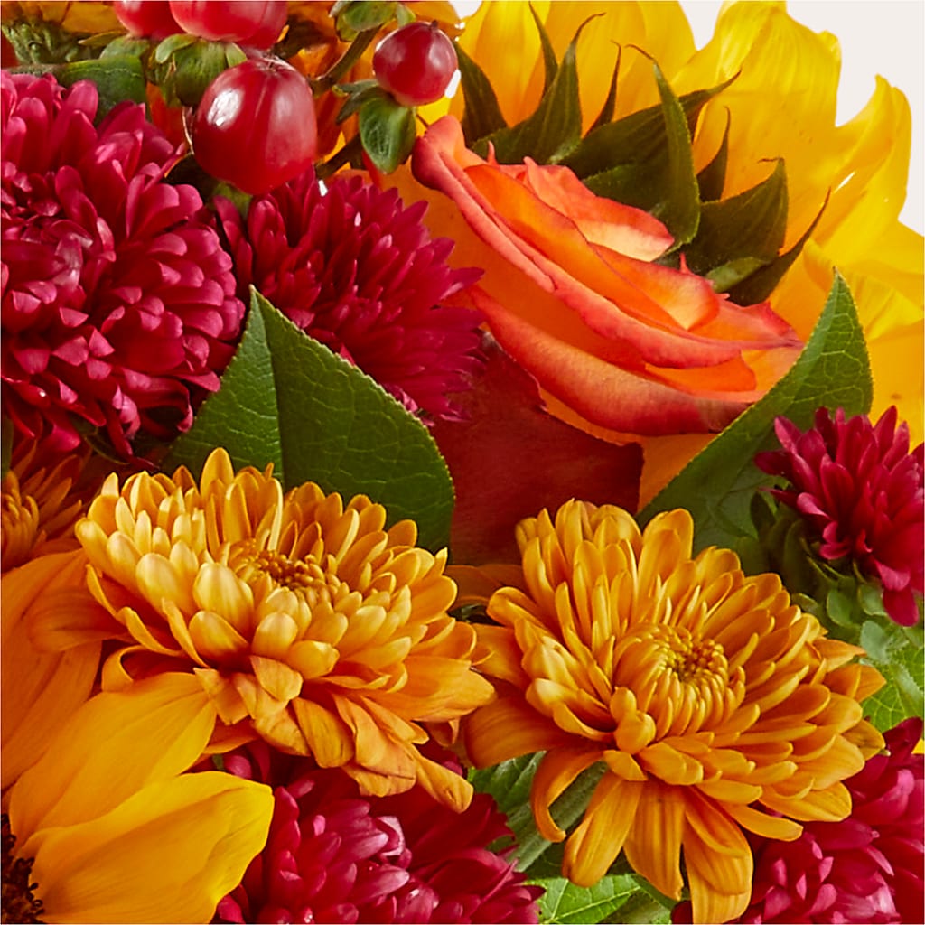 Sweater Season - A Florist Original – THE FLOWER BOX & GIFTS, Sweetwater TX