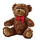Adorable Plush Bear – THE FLOWER BOX & GIFTS, Sweetwater TX