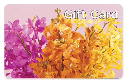 Gift Card – THE FLOWER BOX & GIFTS, Sweetwater TX