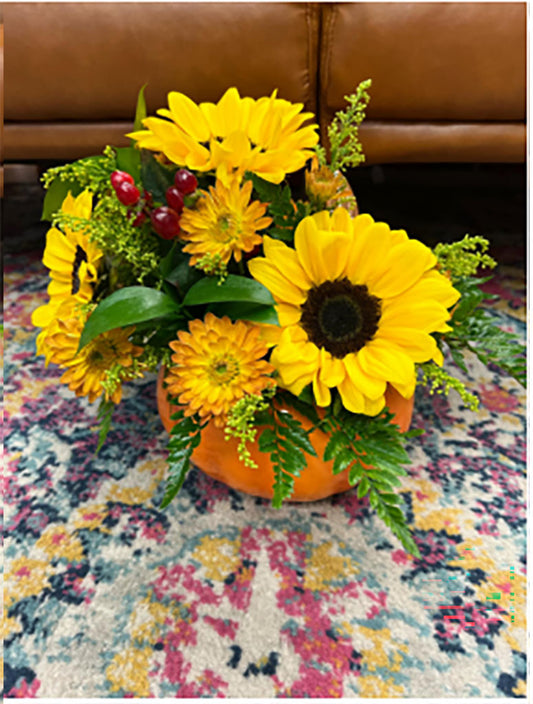 Pumpkin Please – THE FLOWER BOX & GIFTS, Sweetwater TX