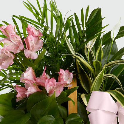 Living Spirit Dishgarden – THE FLOWER BOX & GIFTS, Sweetwater TX