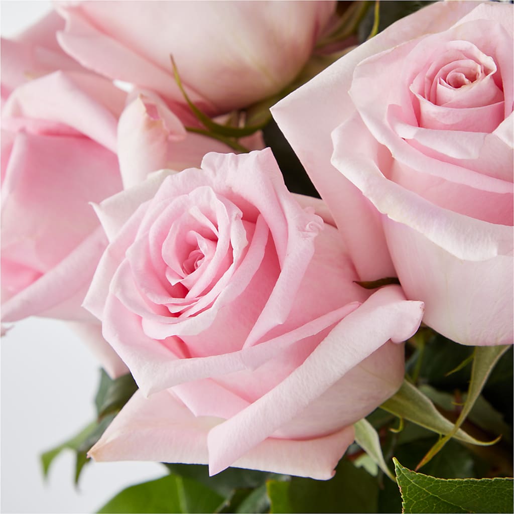 Picture Perfect Pink Rose Bouquet – THE FLOWER BOX & GIFTS, Sweetwater TX
